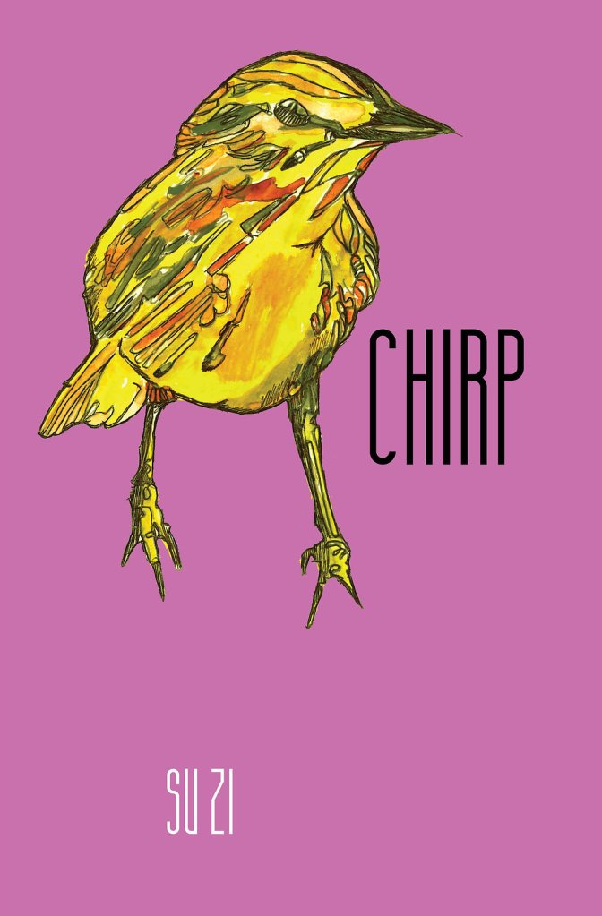 Chirp cover