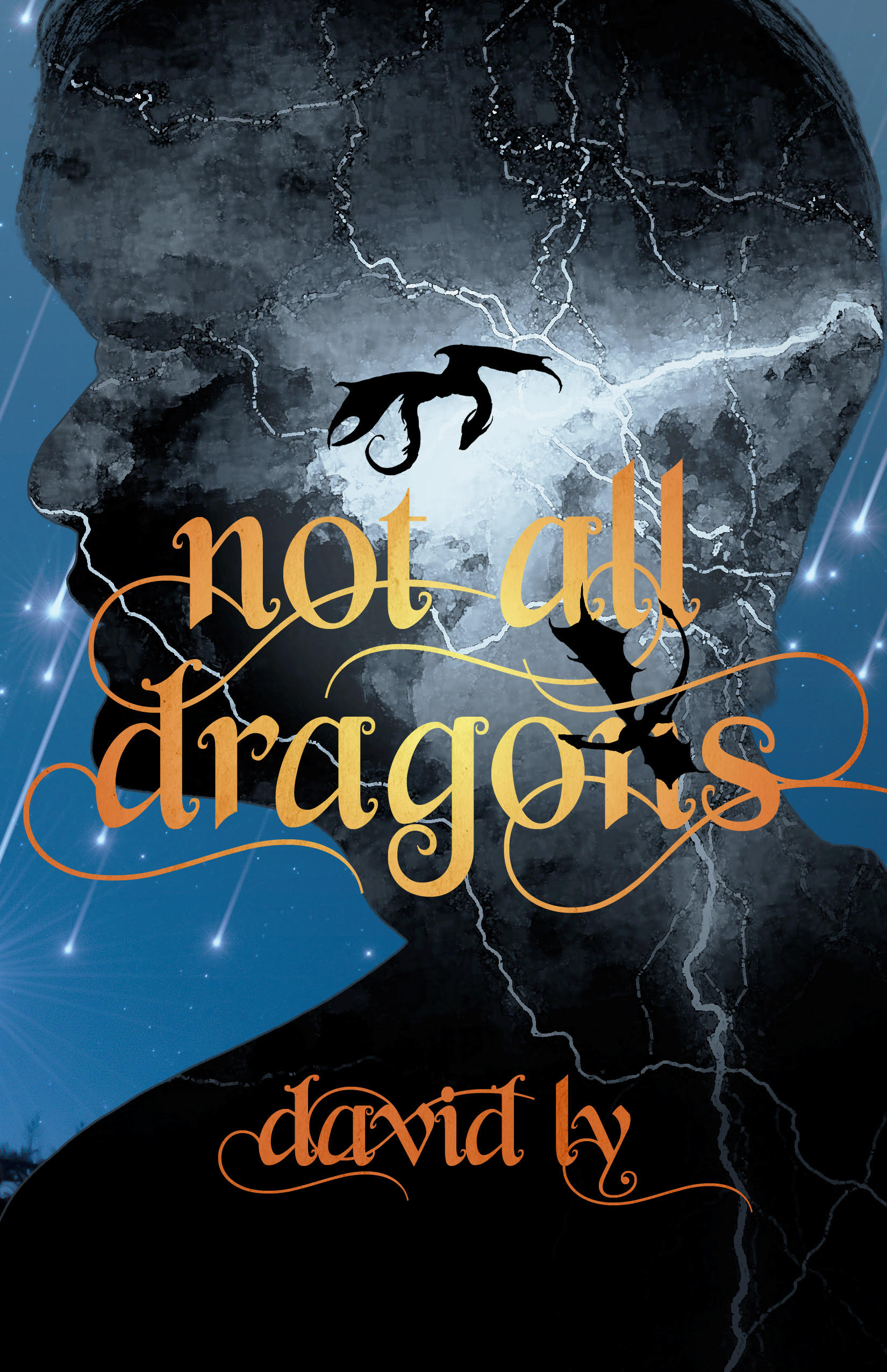 Not All Dragons by David Ly, with a dragon flying over the silhouette of a man in a starry sky.